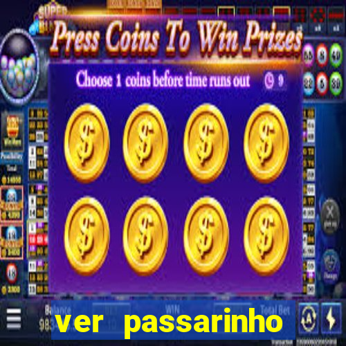 ver passarinho morto significado